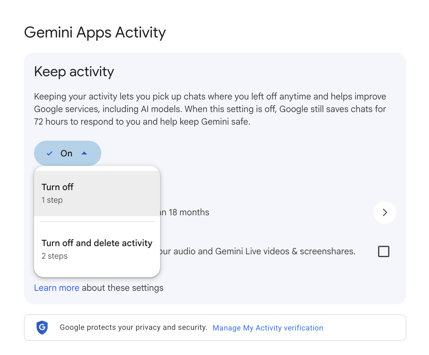 Gemini privacy and data controls page